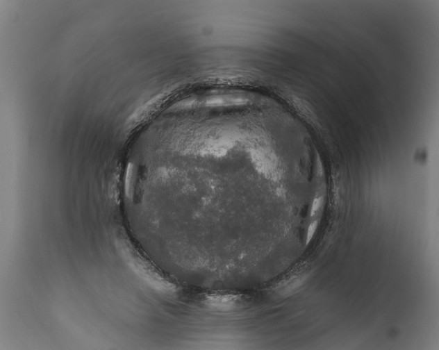 X0000112010450200908171447