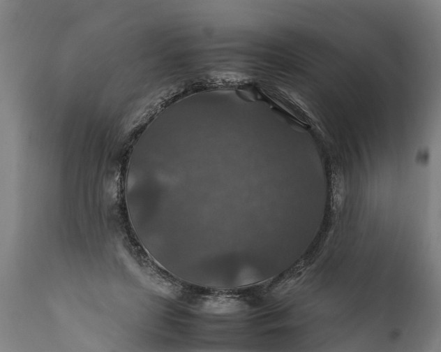 X0000112010451200908171447