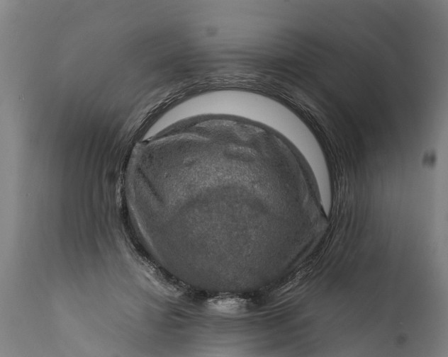 X0000112010452200908171447