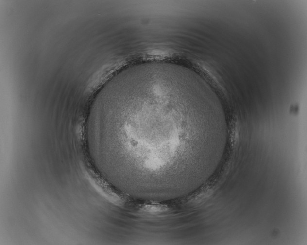 X0000112010455200908171447