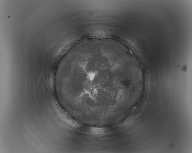 X0000112010457200908171447