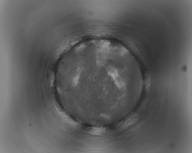 X0000112010458200908171447