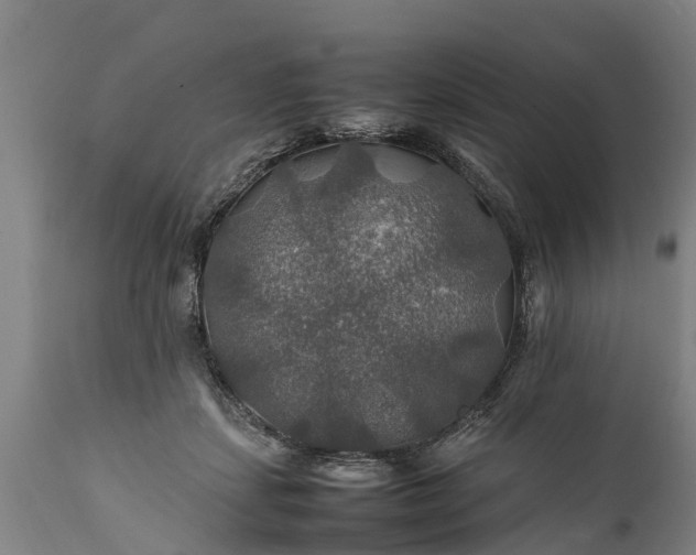 X0000112010459200908171447