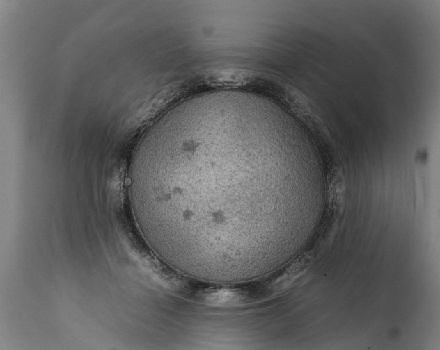 X0000112010460200908171447