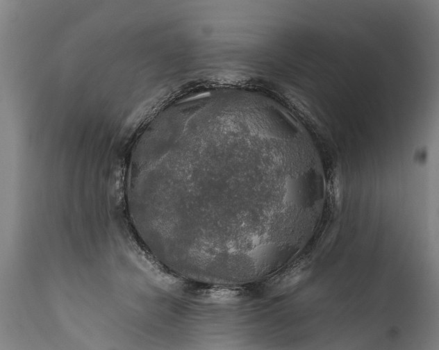 X0000112010462200908171447