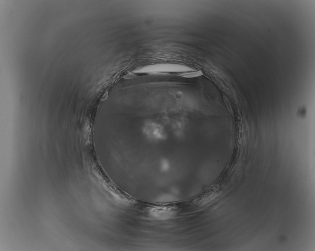 X0000112010465200908171447