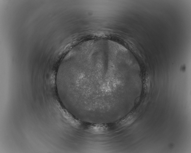 X0000112010466200908171447