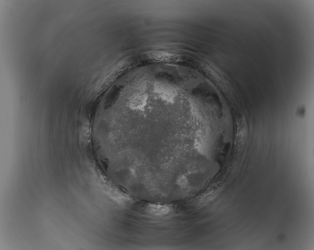 X0000112010469200908171448