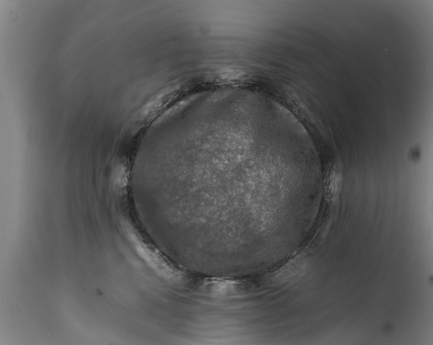 X0000112010472200908171448