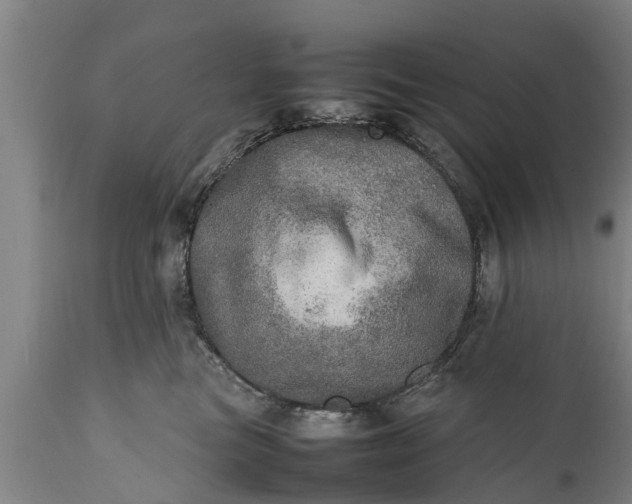 X0000112010473200908171448