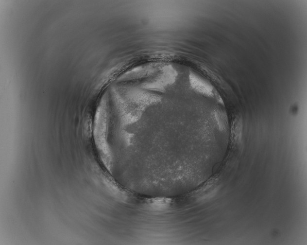 X0000112010474200908171448