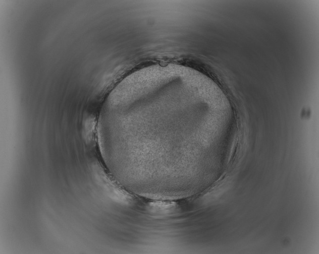 X0000112010480200908171448