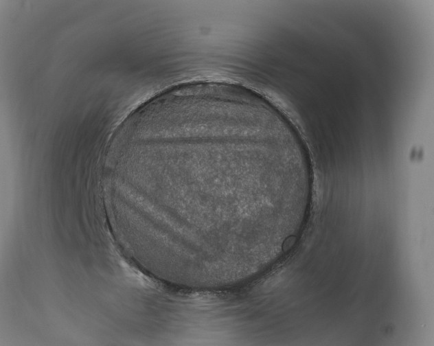 X0000112010481200908171447