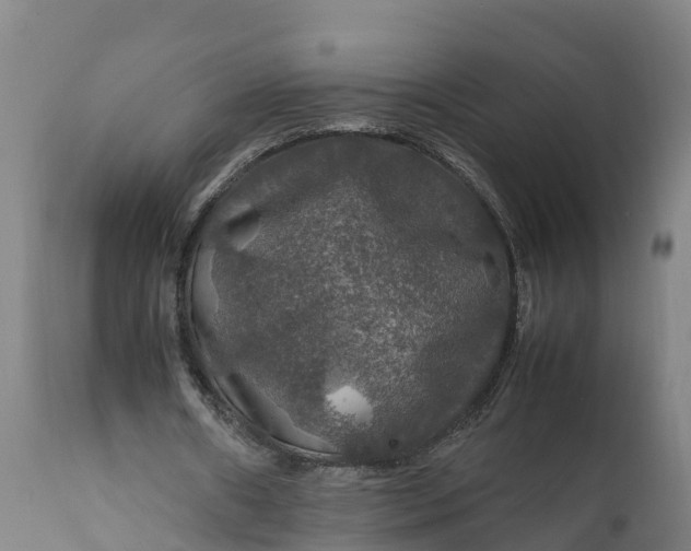 X0000112010482200908171447