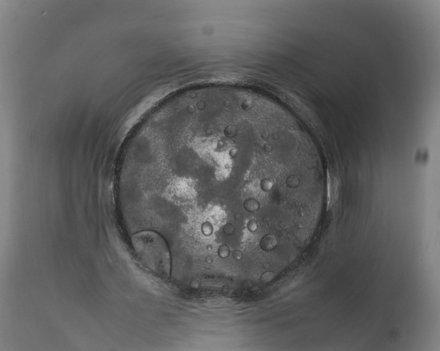 X0000112010483200908171447