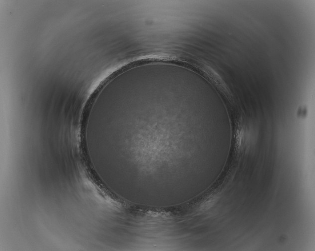 X0000112010484200908171447