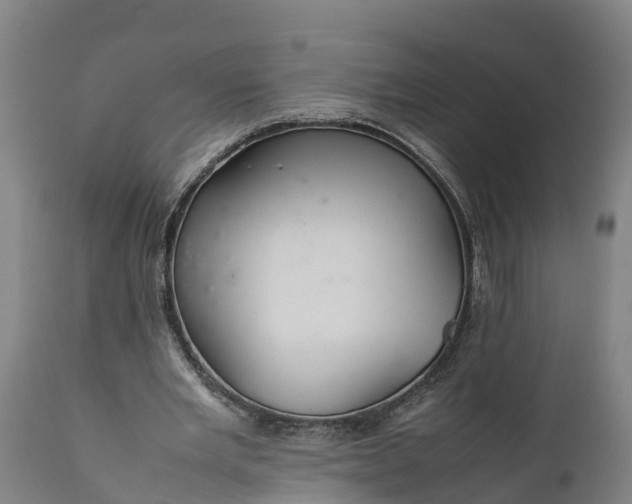 X0000112010485200908171447