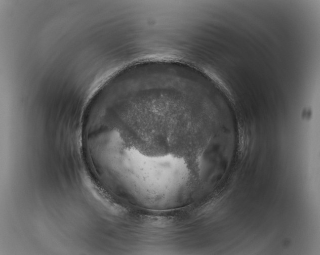 X0000112010486200908171447