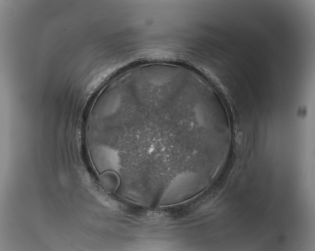 X0000112010487200908171447