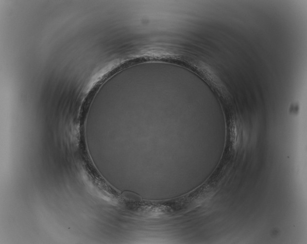 X0000112010488200908171447