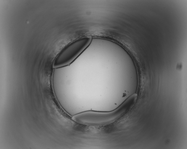 X0000112010489200908171447