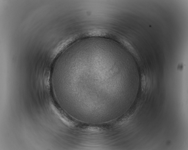 X0000112010490200908171447