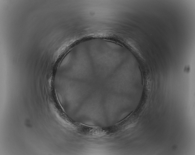 X0000112010491200908171447