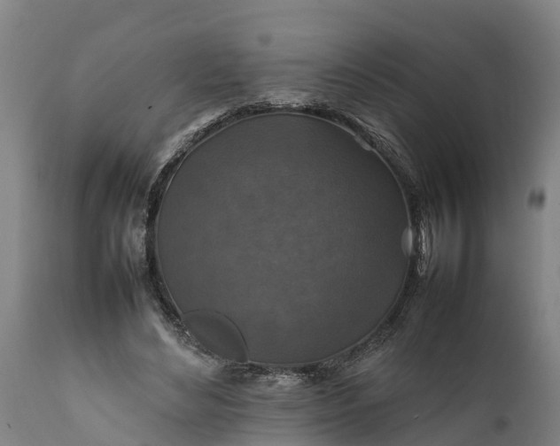 X0000112010492200908171447