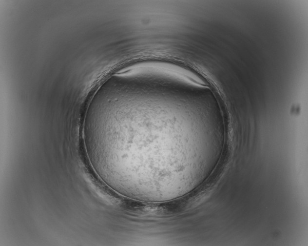 X0000112010493200908171447