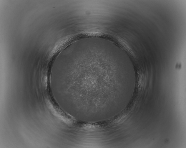 X0000112010494200908171447