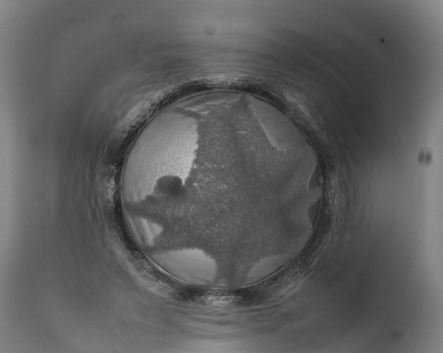 X0000112010495200908171447