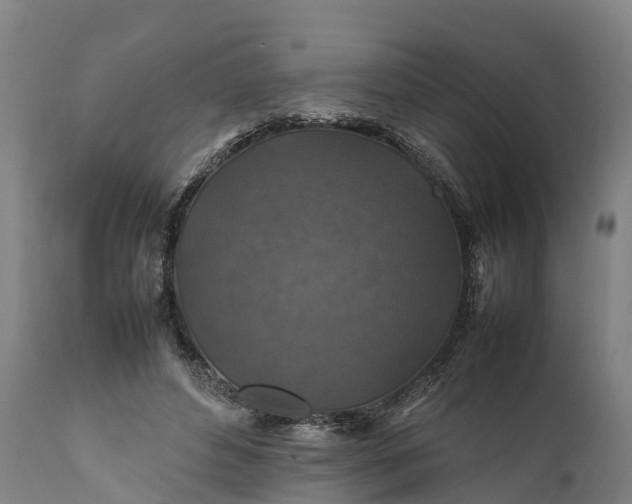 X0000112010496200908171447