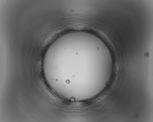 X0000112010497200908171447