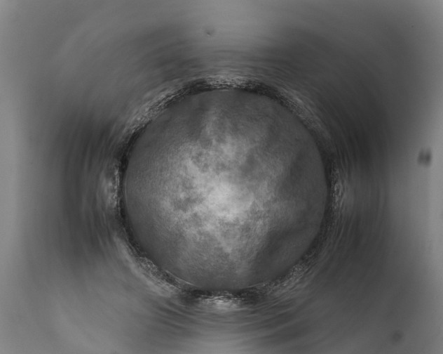 X0000112010498200908171447