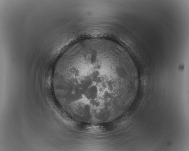 X0000112010499200908171447