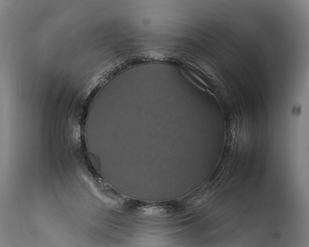 X0000112010500200908171447