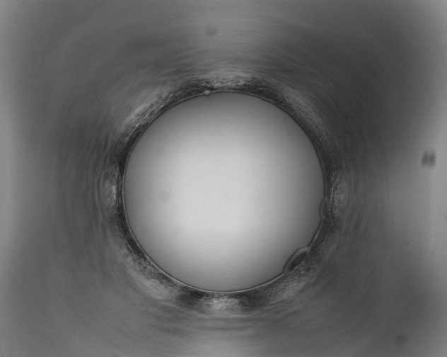 X0000112010501200908171447