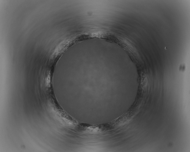 X0000112010502200908171447