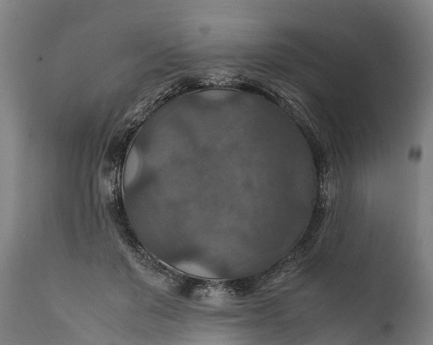 X0000112010503200908171447