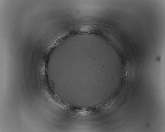 X0000112010504200908171447