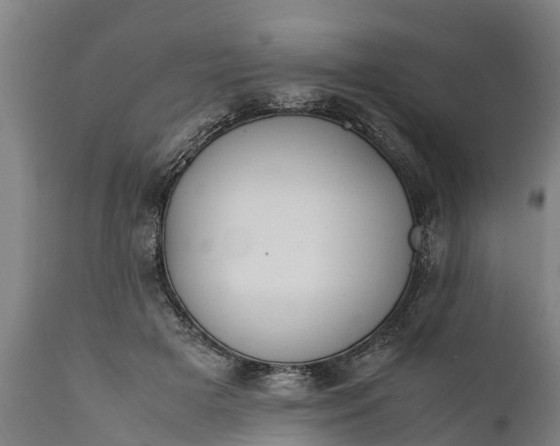 X0000112010505200908171447