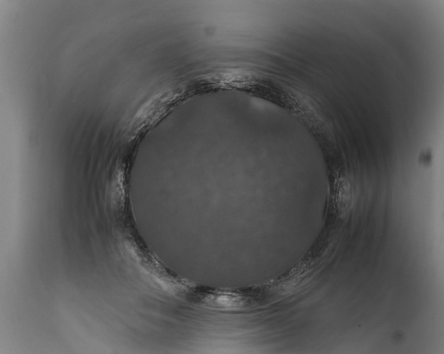 X0000112010506200908171447