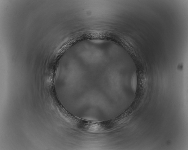 X0000112010507200908171447