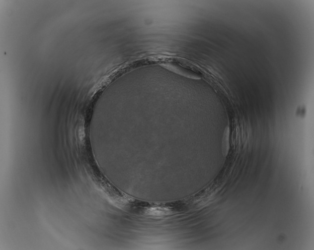 X0000112010508200908171446