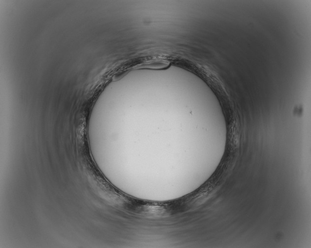 X0000112010509200908171446