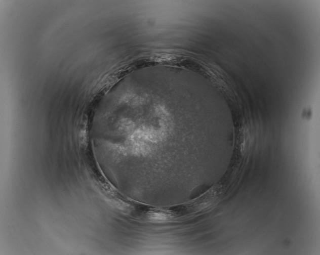 X0000112010510200908171446