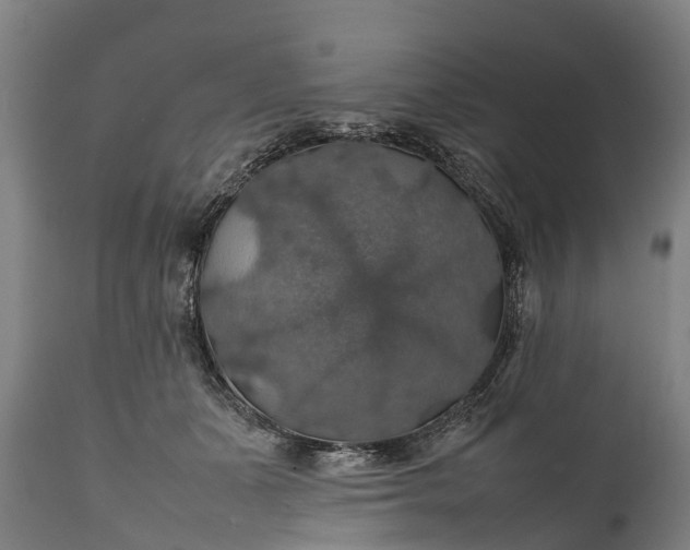 X0000112010511200908171446