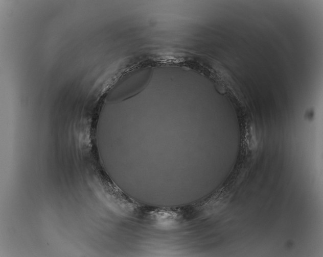 X0000112010512200908171446