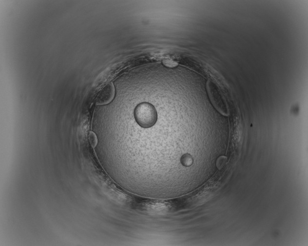 X0000112010513200908171446