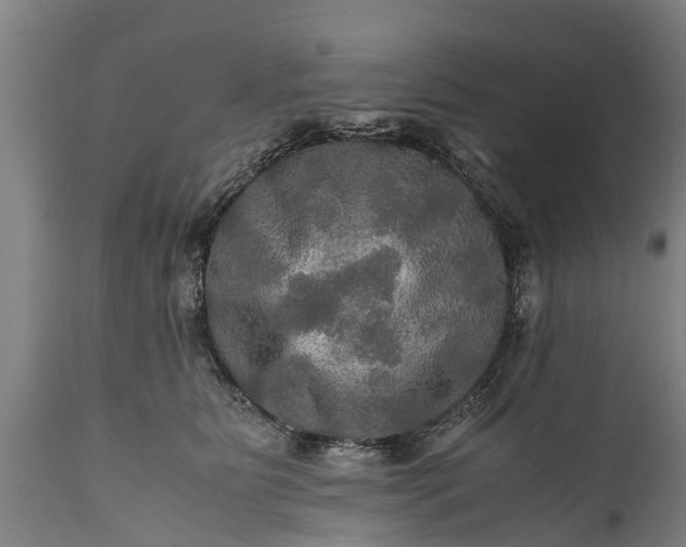 X0000112010515200908171446